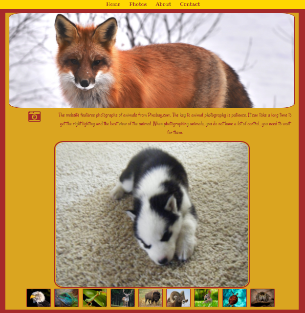 Animal Website